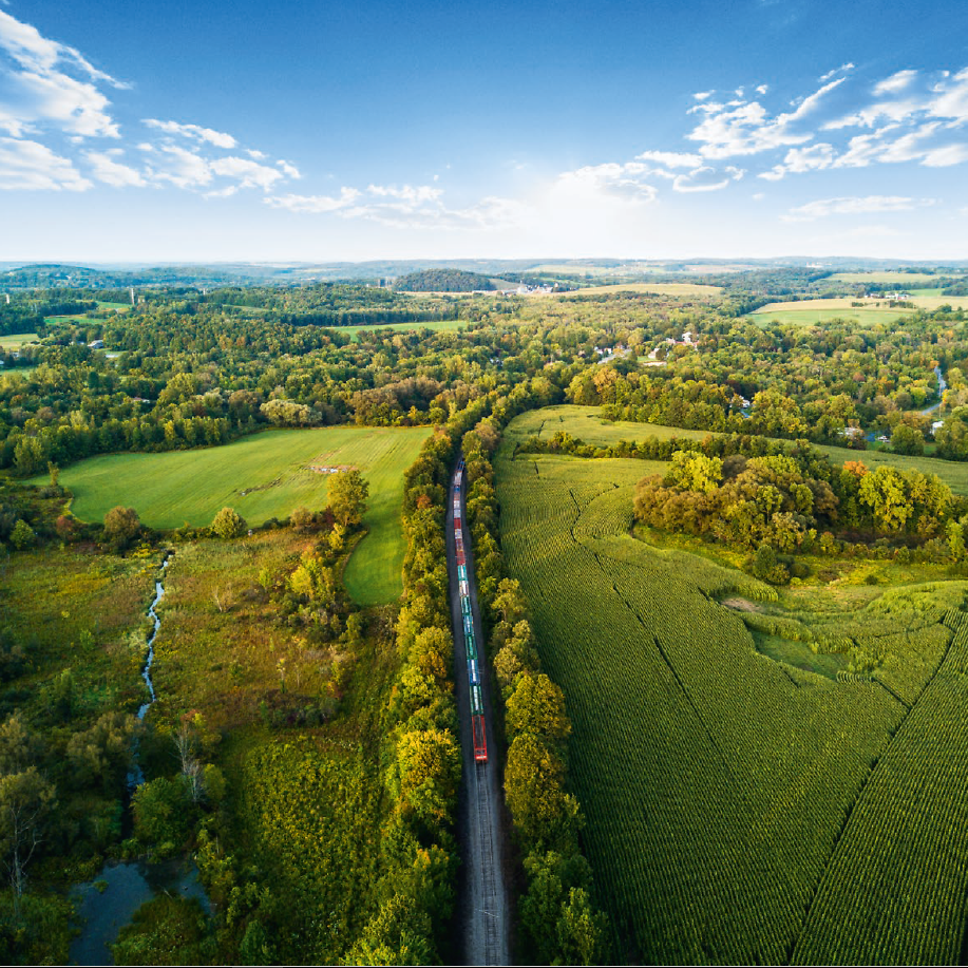 Güterzug fährt durch eine grüne Landschaft